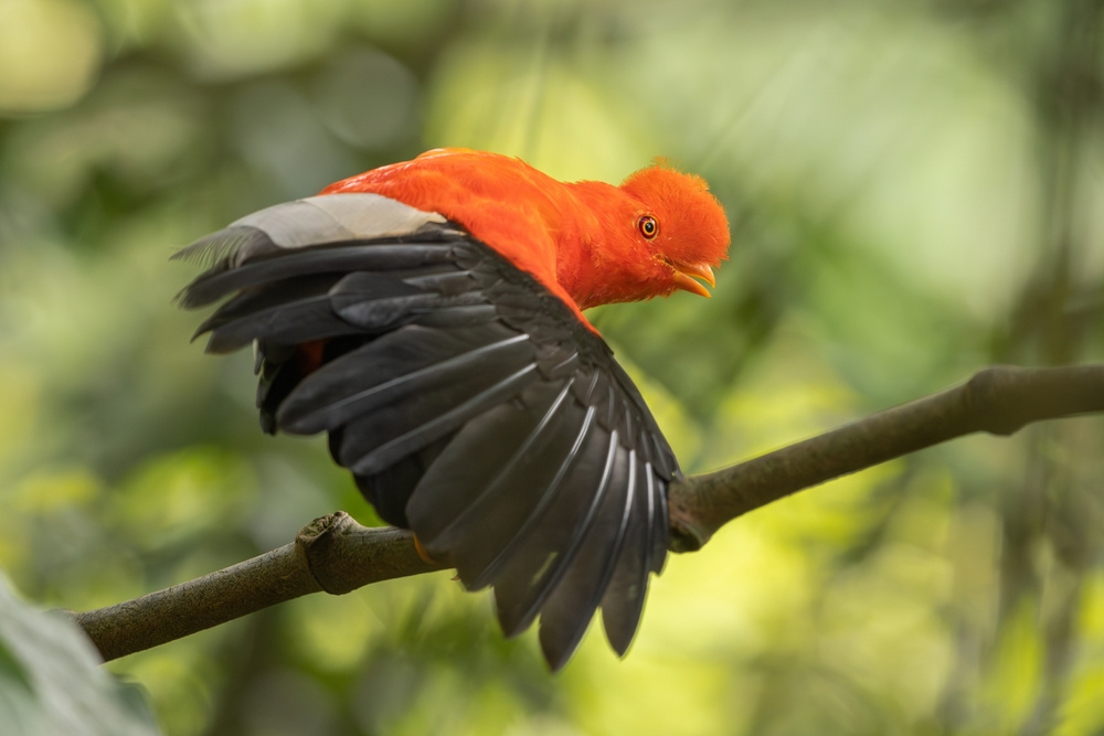 shutterstock 2403272673