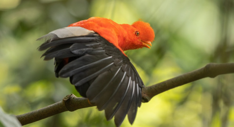 shutterstock 2403272673